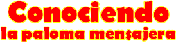 http://www.noticiasmercedinas.com/logo.gif