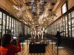 Museos bonaerenses celebran su día desde las redes sociales