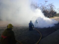 Bomberos, incendio, auto
