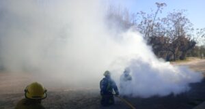 Bomberos, incendio, auto
