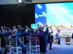 La Asamblea de AFA confirmó la afiliación de Leones