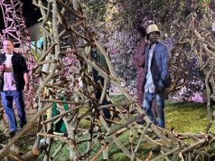 Arte mercedino en África: se inauguró exposición «Huésped» de Camilo Guinot en Dakar