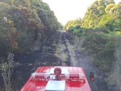 Incendio en Altamira: Bomberos y Protección Civil trabajan intensamente para contener el avance del fuego