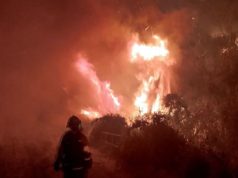 Incendios en la Patagonia: Sabrina Selva elogió labor de los brigadistas y criticó al Gobierno Nacional