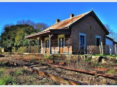 María Laura Mangoni es la nueva presidenta de la Sociedad de Fomento de Goldney