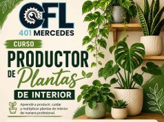 Abren la inscripción para un curso profesional de producción de plantas de interior