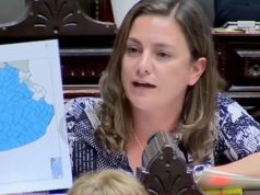 Vanesa Siley cruzó al Ejecutivo en Diputados por quita de «Zona Fría»