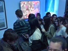 Museo Ameghino inauguró una muestra interactiva sobre la biodiversidad del Mar Argentino