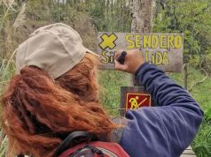 Trabajos de mantenimiento y puesta en valor en la Reserva Natural Arroyo Balta