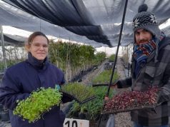 Vivero Biotecnológico recibió nuevos plantines para impulsar el programa de Huerta Urbana