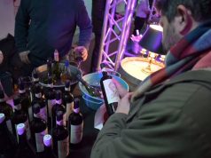 Récord de público y fuerte apuesta al arte y la música en la 7° edición del “Paseo del Vino”