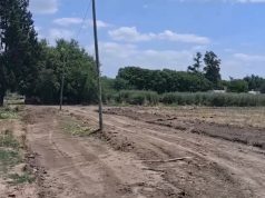 ABC Inmobiliaria comercializa nueve lotes con escrituración inmediata en Gowland