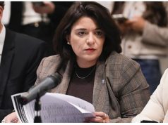 Sabrina Selva integra el Grupo Parlamentario para la OCDE en el Congreso de la Nación