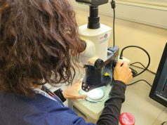 El SENASA actualizó el portal “Mi SENASA” e incorporó la consulta online de resultados de laboratorio